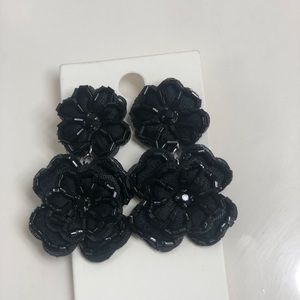 Express Earrings